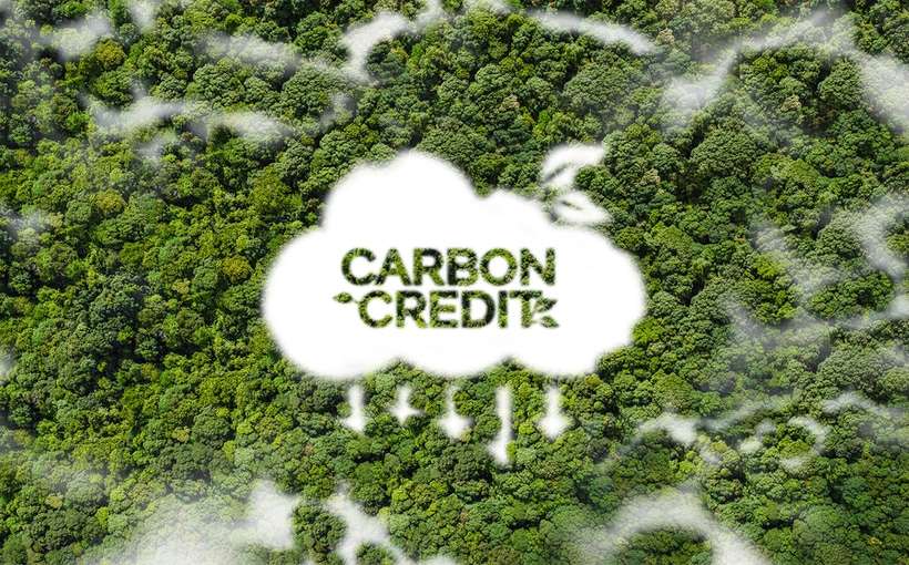 Carbon Credits and Offsetting